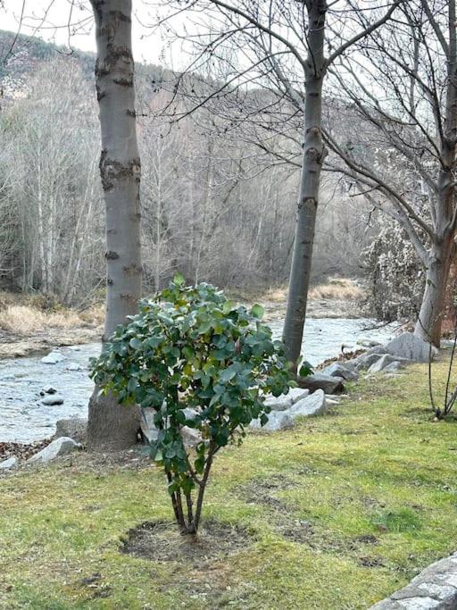 Acogedor Alojamiento En Martinet, Cerdanya, Puigcerda Eksteriør bilde